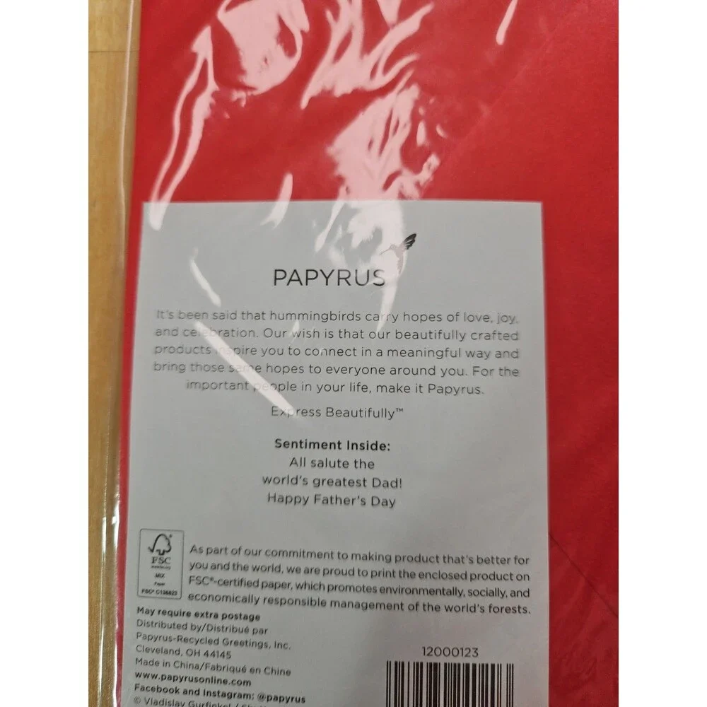 PAPYRUS HAPPY FATHERS DAY CARD DAD IN CHIEF CARD New